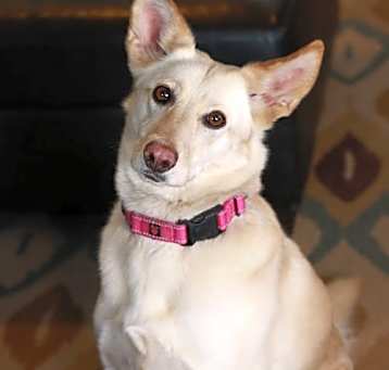 Photo of Cammie Bella