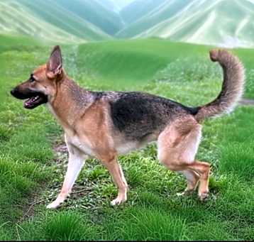Photo of Mia