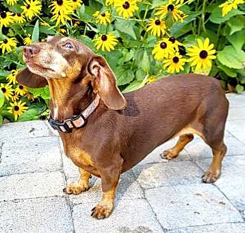 Photo of BEAUX