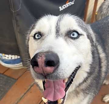 Photo of Oakley