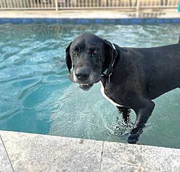 Photo of Arlen