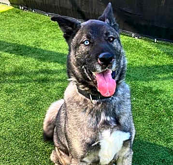 Photo of OSO