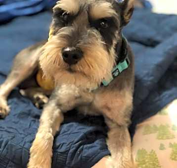 Photo of Ranger