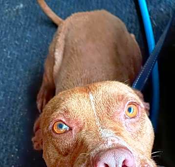Photo of Hope