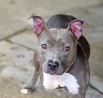 Photo of DIAMOND