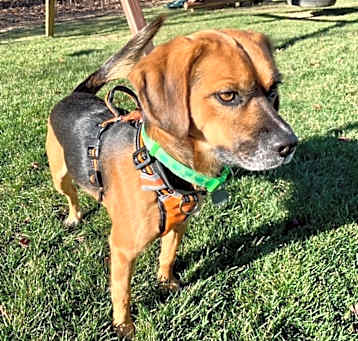 Photo of Norbert
