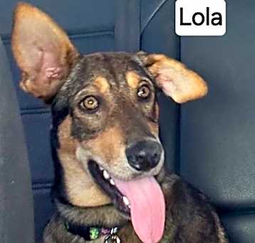 Photo of Lola