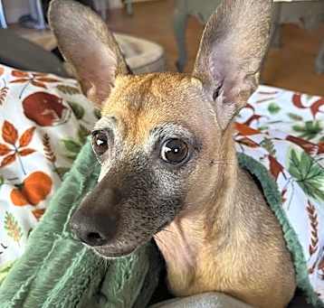 Photo of Annabelle