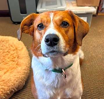 Photo of Sammy
