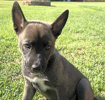 Photo of Zima