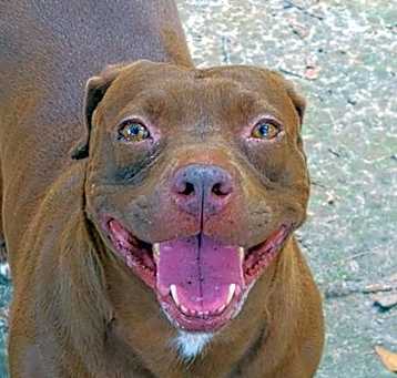 Photo of Rosie