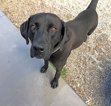 Photo of Gus