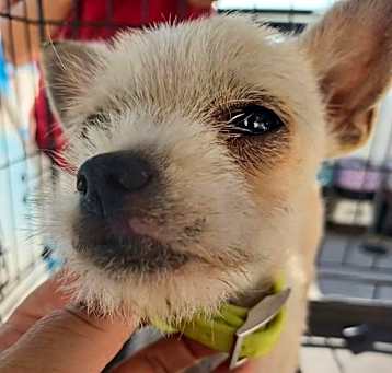 Photo of Suzi