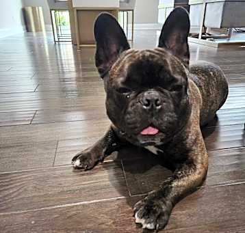 Photo of Braxton