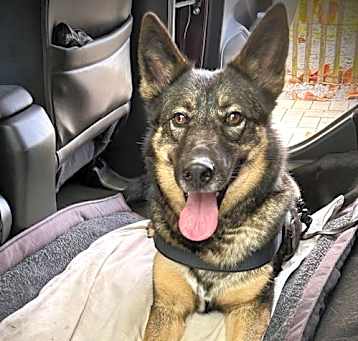 Photo of Bella 3075
