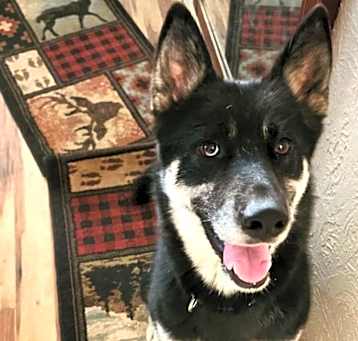 Photo of Padme, social & smart beauty!