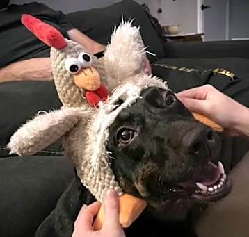 Photo of Trudy