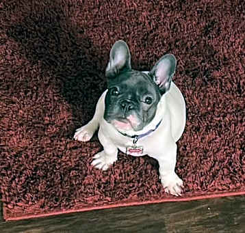 Photo of Mya