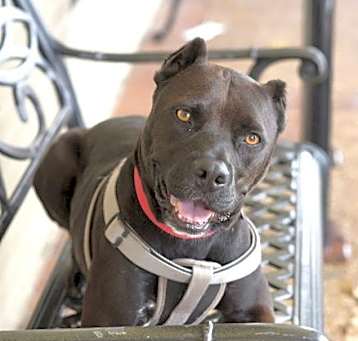 Photo of ROXY