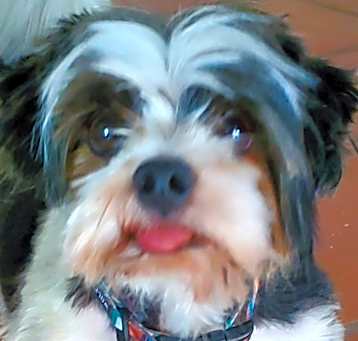 Photo of ALFIE