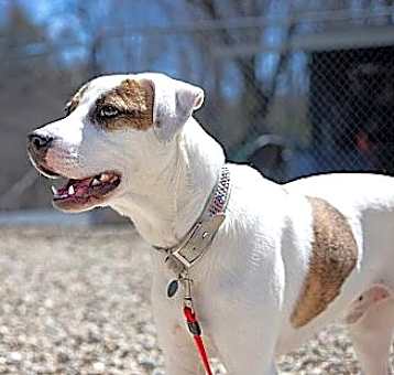 Photo of Chumley