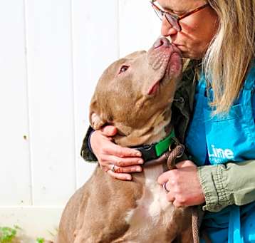 Photo of Channing T (in foster)