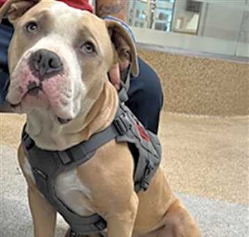 Photo of TANK