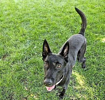 Photo of Luna - located in NE