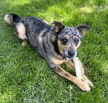 Photo of Kyah