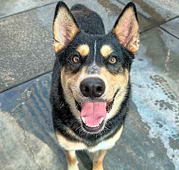 Photo of Wizard AKA Chance