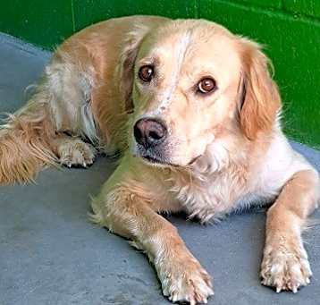Photo of DIEGO