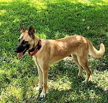 Photo of Remi