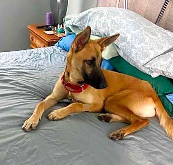 Photo of Remi