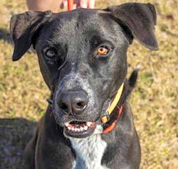 Photo of Hero. (Billy)