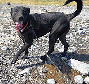 Photo of Boo