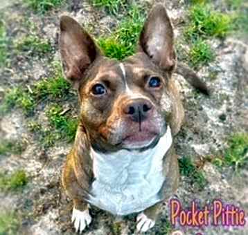 Photo of Coco