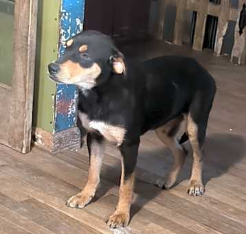 Photo of Mariel