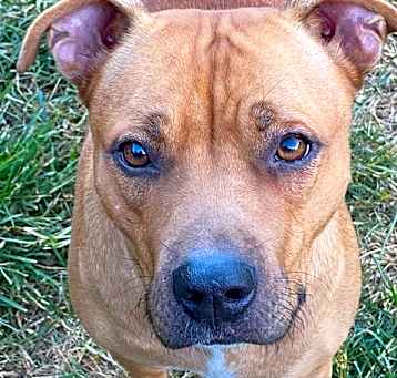 Photo of Cassie - so SWEET
