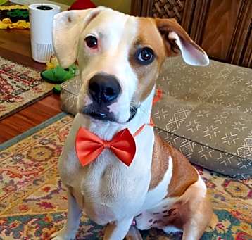 Photo of Flynn