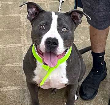 Photo of Bruce - Contact Sylva/Rachel