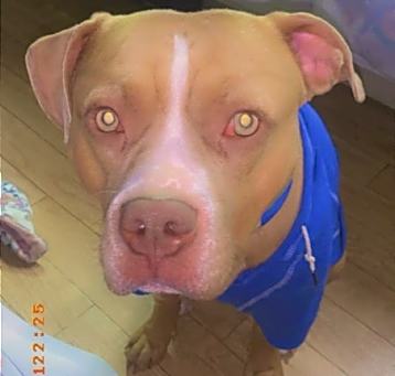 Photo of Axl