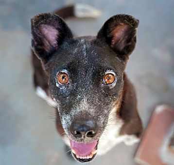 Photo of Tonie
