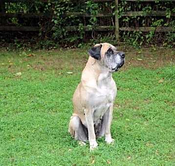 Photo of Izzabella