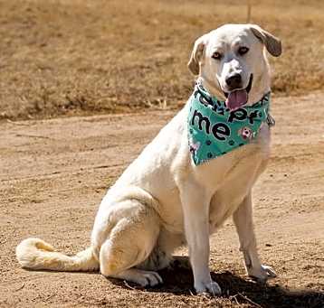 Photo of MARGO