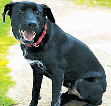 Photo of Smidge