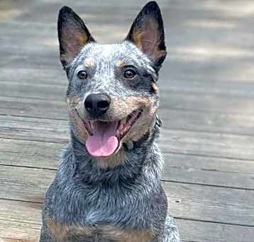 Photo of Leroy