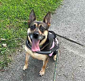 Photo of Mildred