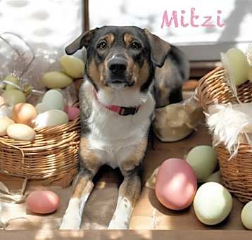 Photo of Mitzi