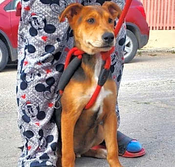 Photo of Argus