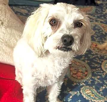 Photo of KOBY